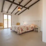 Conchiglia Sud Cala Gonone